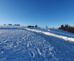 Zimowy kulig w górach