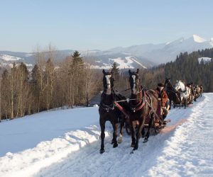 Widok na góry podczas kuligu