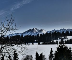 83088346_2794518643939563_6803426959360524288_n