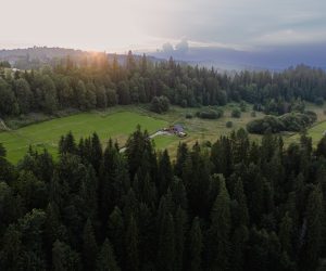 Widok na kulig w ofercie letniej