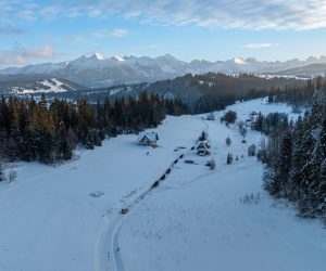 Kulig konny z widokiem na góry