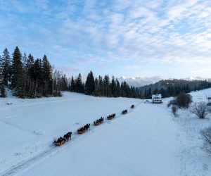Kulig konny w malowniczej scenerii Tatr.