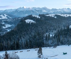 Kulig konny z widokiem na góry
