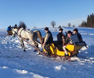 Kapela góralska na kuligu